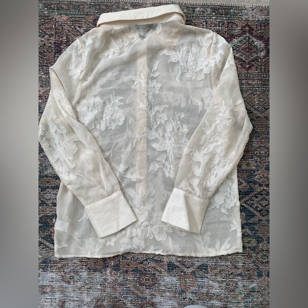 *NEW* Rachel Zoe Sheer Button Down Blouse - Picture 2 of 4